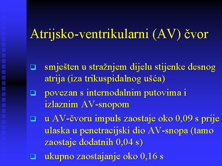 Atrijsko-ventrikularni (AV) čvor q q smješten u stražnjem dijelu stijenke desnog atrija (iza trikuspidalnog