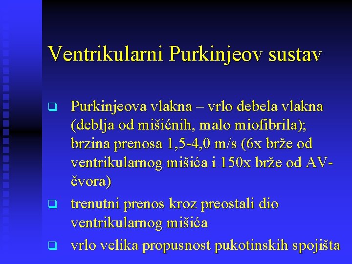 Ventrikularni Purkinjeov sustav q q q Purkinjeova vlakna – vrlo debela vlakna (deblja od