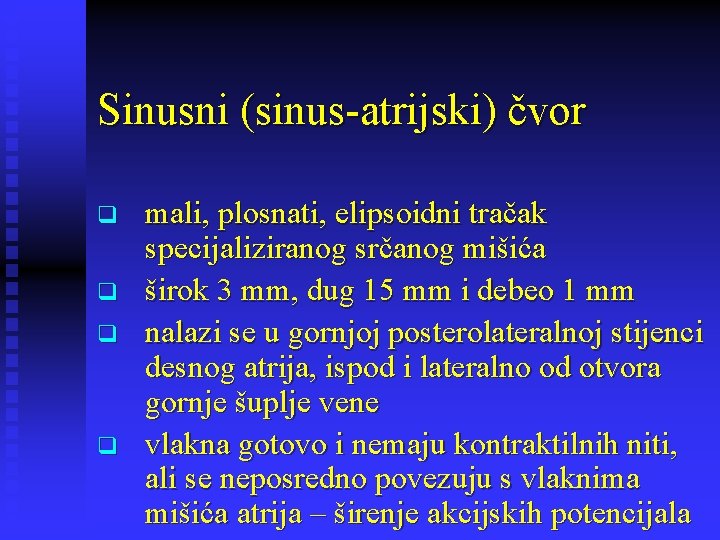 Sinusni (sinus-atrijski) čvor q q mali, plosnati, elipsoidni tračak specijaliziranog srčanog mišića širok 3