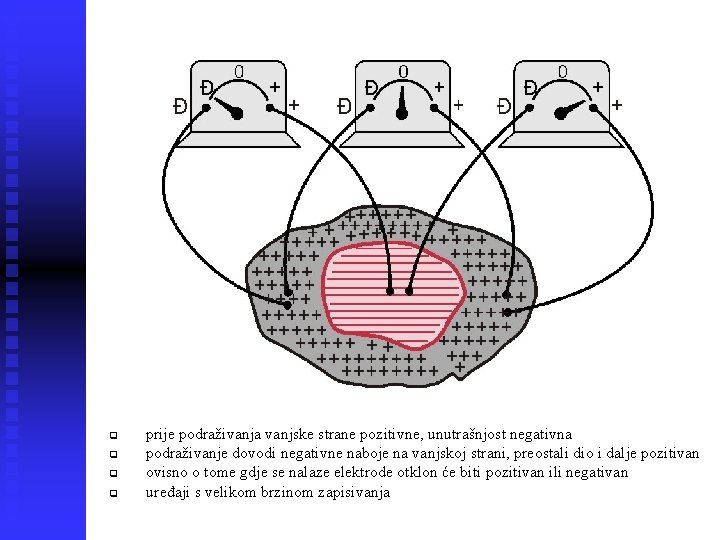 q q prije podraživanja vanjske strane pozitivne, unutrašnjost negativna podraživanje dovodi negativne naboje na