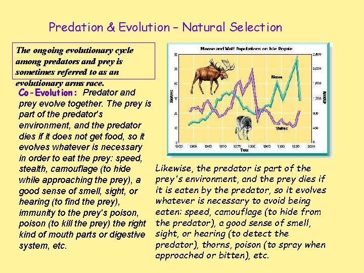 Predation & Evolution – Natural Selection The ongoing evolutionary cycle among predators and prey