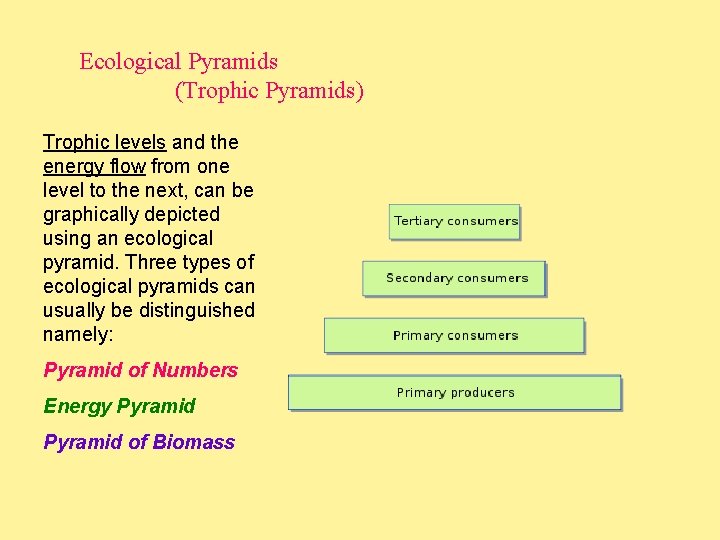 Ecological Pyramids (Trophic Pyramids) Trophic levels and the energy flow from one level to