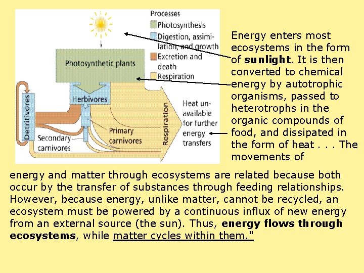 Energy enters most ecosystems in the form of sunlight. It is then converted to