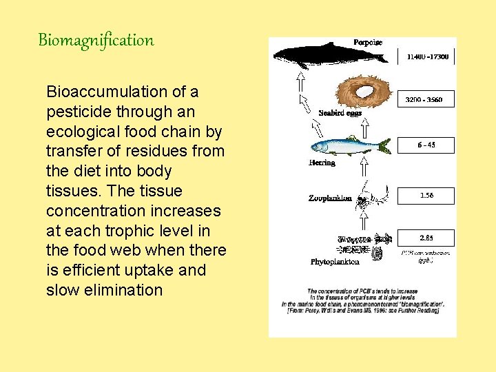 Biomagnification Bioaccumulation of a pesticide through an ecological food chain by transfer of residues