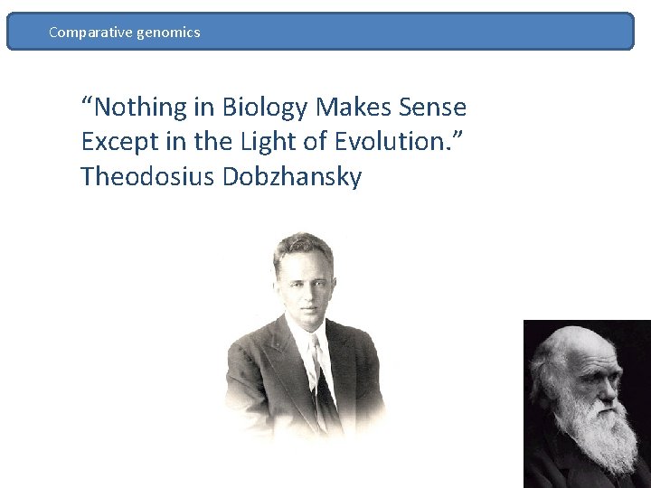Comparative genomics “Nothing in Biology Makes Sense Except in the Light of Evolution. ”