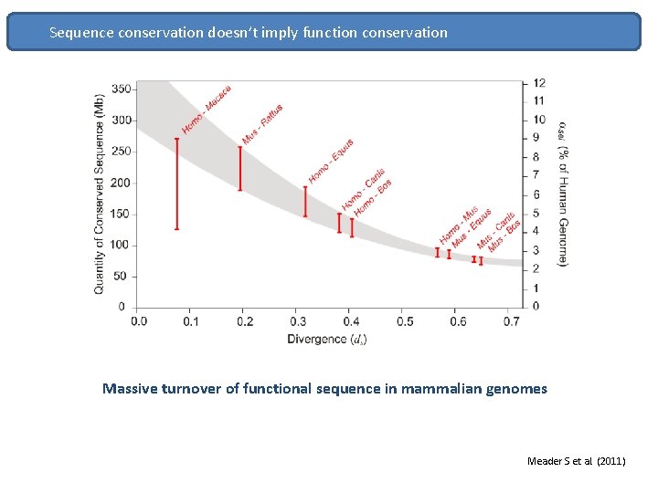 Sequence conservation doesn’t imply function conservation Massive turnover of functional sequence in mammalian genomes