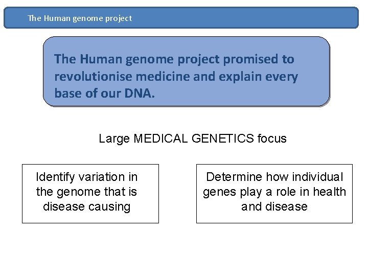 The Human genome project promised to revolutionise medicine and explain every base of our
