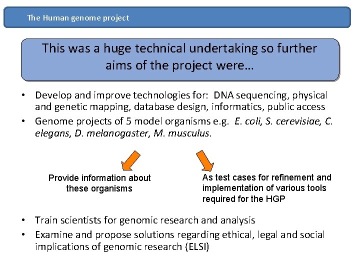 The Human genome project This was a huge technical undertaking so further aims of