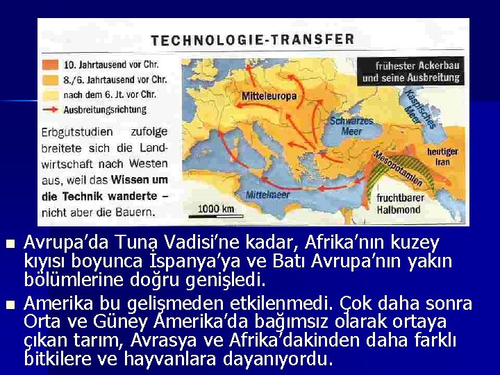 n n Avrupa’da Tuna Vadisi’ne kadar, Afrika’nın kuzey kıyısı boyunca İspanya’ya ve Batı Avrupa’nın