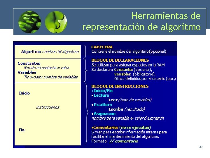 Herramientas de representación de algoritmo 23 Herramientas de representación de algoritmo 23