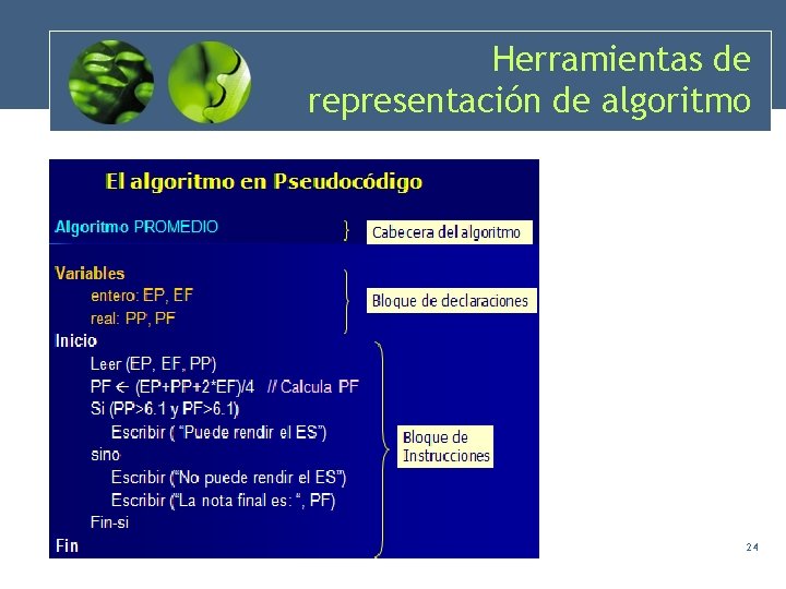 Herramientas de representación de algoritmo 24 Herramientas de representación de algoritmo 24