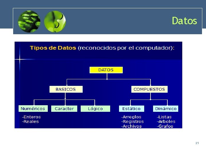 Datos 25 Datos 25