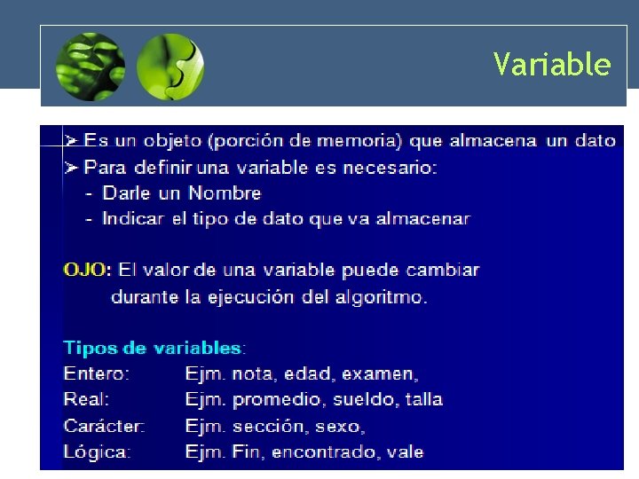 Variable 29 Variable 29