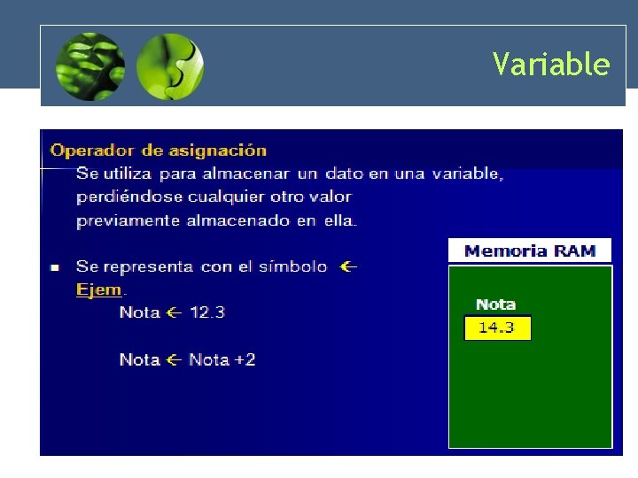 Variable 30 Variable 30