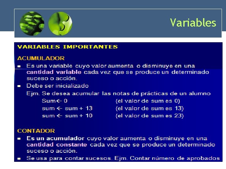 Variables 31 Variables 31