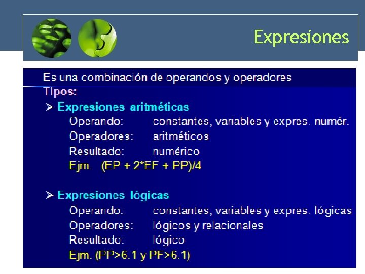 Expresiones 33 Expresiones 33