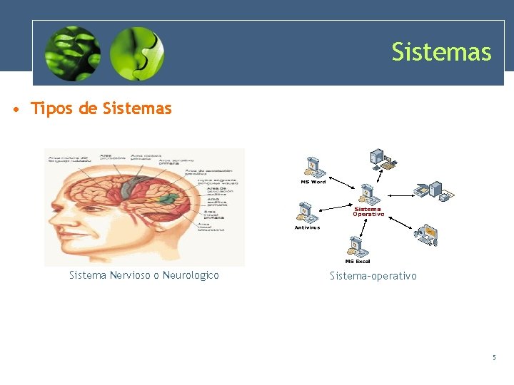 Sistemas • Tipos de Sistemas Sistema Nervioso o Neurologico Sistema-operativo 5 Sistemas • Tipos de Sistemas Sistema Nervioso o Neurologico Sistema-operativo 5
