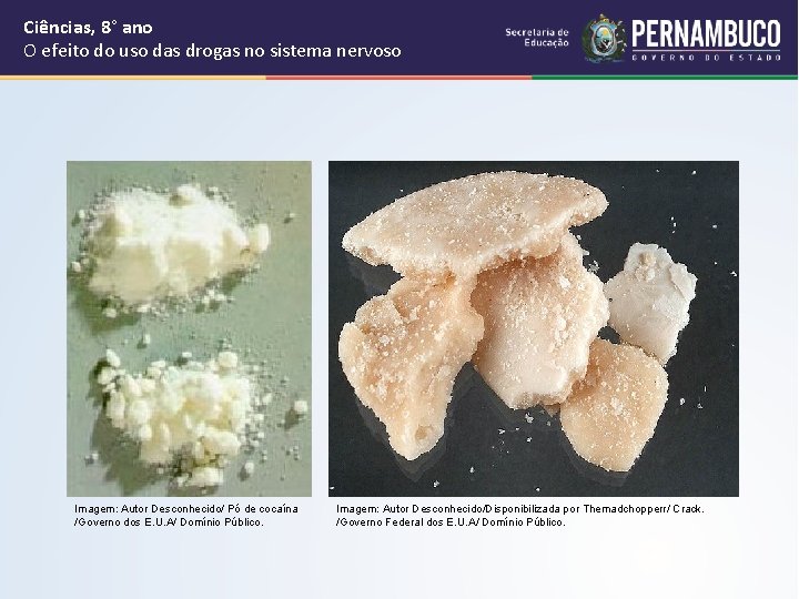 Ciências, 8° ano O efeito do uso das drogas no sistema nervoso Imagem: Autor