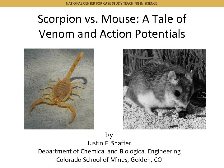 NATIONAL CENTER FOR CASE STUDY TEACHING IN SCIENCE Scorpion vs. Mouse: A Tale of