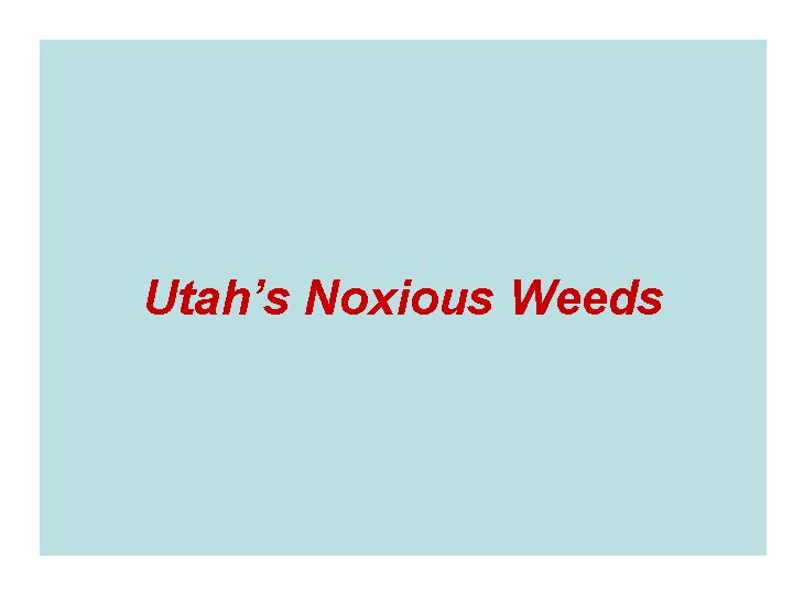 Utah’s Noxious Weeds 