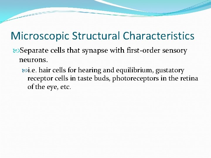 Microscopic Structural Characteristics Separate cells that synapse with first-order sensory neurons. i. e. hair