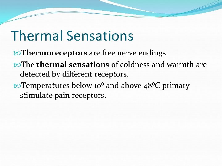 Thermal Sensations Thermoreceptors are free nerve endings. The thermal sensations of coldness and warmth