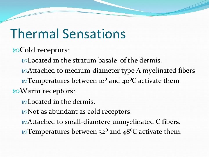 Thermal Sensations Cold receptors: Located in the stratum basale of the dermis. Attached to