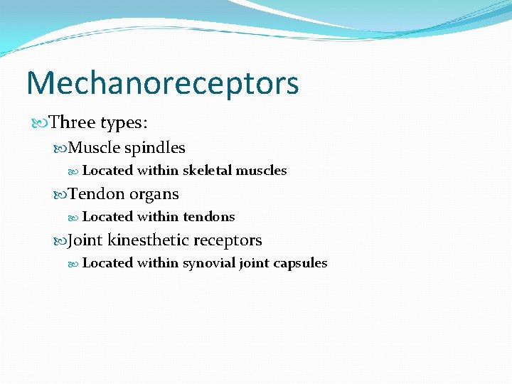 Mechanoreceptors Three types: Muscle spindles Located within skeletal muscles Tendon organs Located within tendons