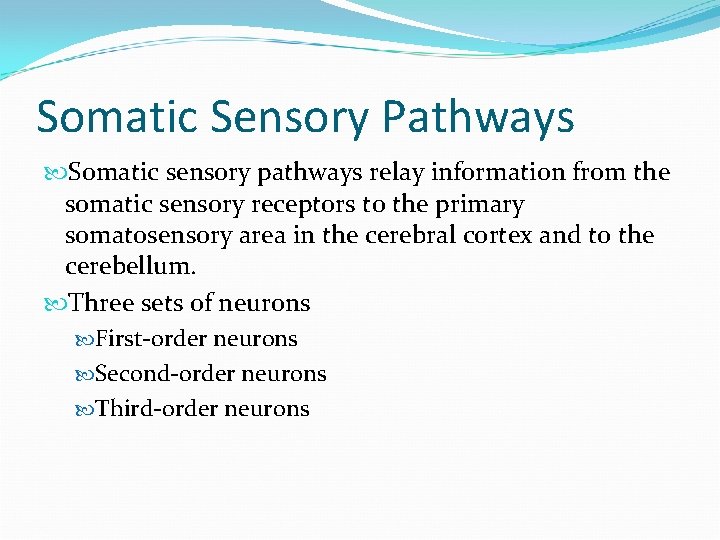 Somatic Sensory Pathways Somatic sensory pathways relay information from the somatic sensory receptors to