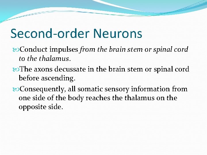 Second-order Neurons Conduct impulses from the brain stem or spinal cord to the thalamus.