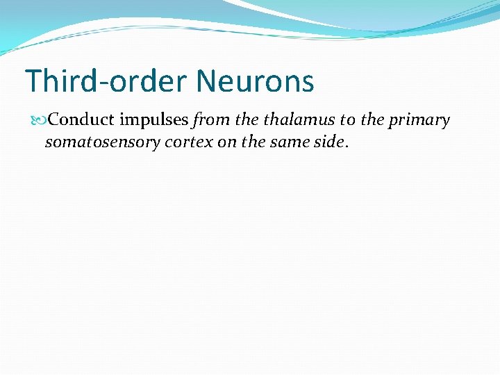 Third-order Neurons Conduct impulses from the thalamus to the primary somatosensory cortex on the