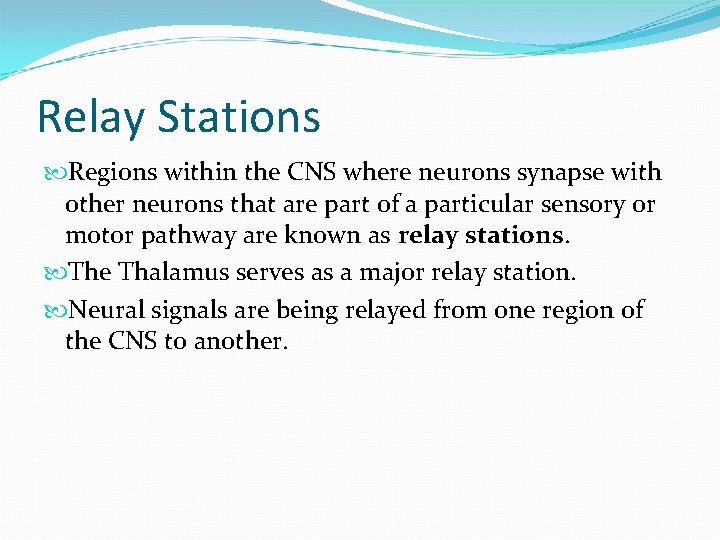 Relay Stations Regions within the CNS where neurons synapse with other neurons that are