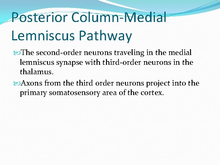 Posterior Column-Medial Lemniscus Pathway The second-order neurons traveling in the medial lemniscus synapse with