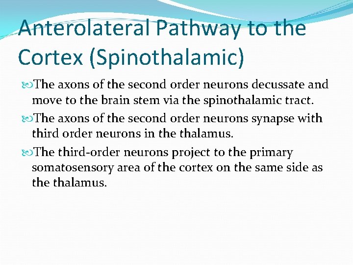 Anterolateral Pathway to the Cortex (Spinothalamic) The axons of the second order neurons decussate