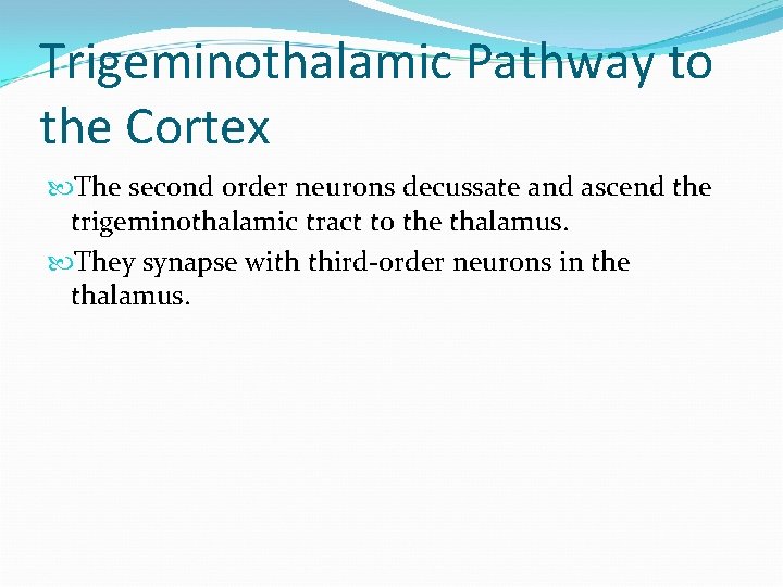 Trigeminothalamic Pathway to the Cortex The second order neurons decussate and ascend the trigeminothalamic