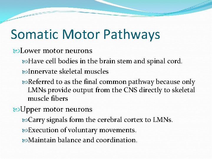 Somatic Motor Pathways Lower motor neurons Have cell bodies in the brain stem and