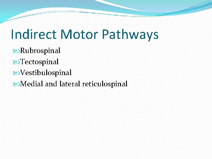 Indirect Motor Pathways Rubrospinal Tectospinal Vestibulospinal Medial and lateral reticulospinal 