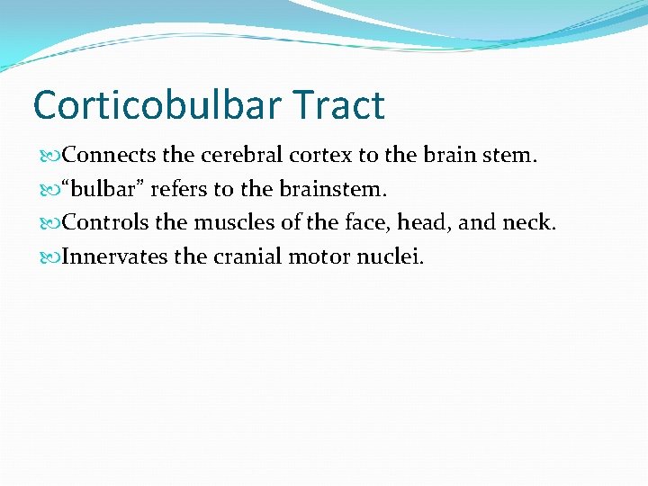 Corticobulbar Tract Connects the cerebral cortex to the brain stem. “bulbar” refers to the