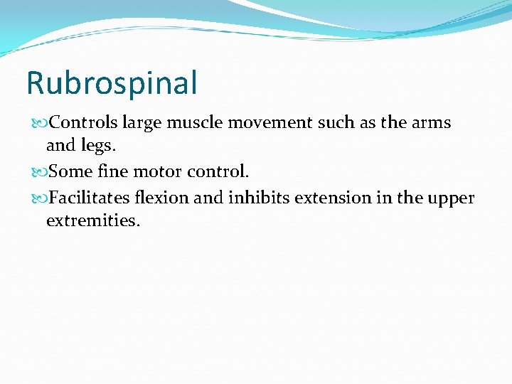 Rubrospinal Controls large muscle movement such as the arms and legs. Some fine motor