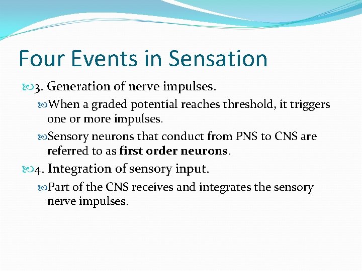 Four Events in Sensation 3. Generation of nerve impulses. When a graded potential reaches