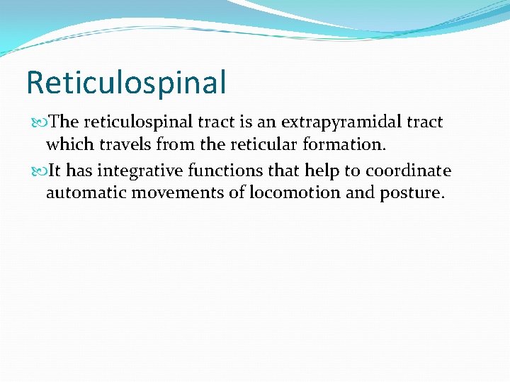 Reticulospinal The reticulospinal tract is an extrapyramidal tract which travels from the reticular formation.