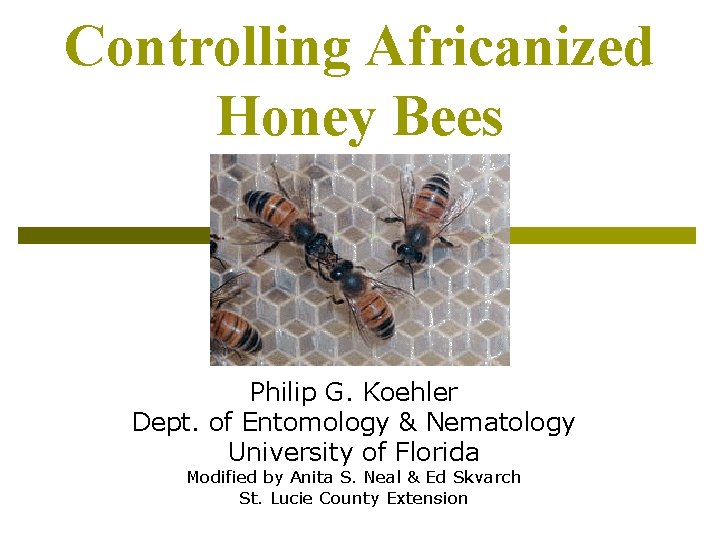 Controlling Africanized Honey Bees Philip G. Koehler Dept. of Entomology & Nematology University of
