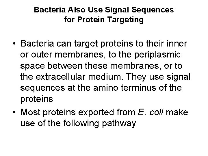 Bacteria Also Use Signal Sequences for Protein Targeting • Bacteria can target proteins to