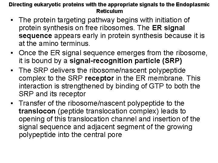 Directing eukaryotic proteins with the appropriate signals to the Endoplasmic Reticulum • The protein