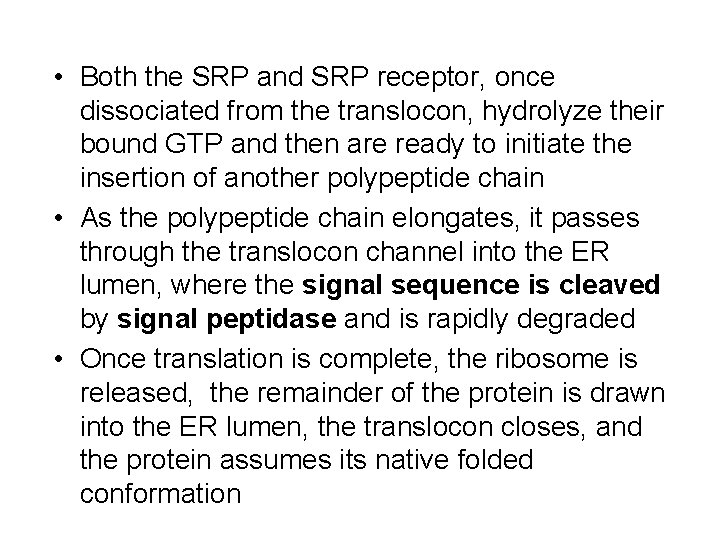  • Both the SRP and SRP receptor, once dissociated from the translocon, hydrolyze