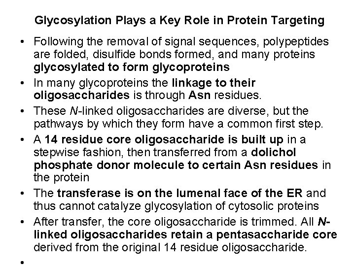 Glycosylation Plays a Key Role in Protein Targeting • Following the removal of signal