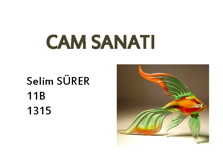 CAM SANATI Selim SÜRER 11 B 1315 