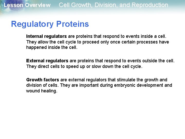 Lesson Overview Cell Growth, Division, and Reproduction Regulatory Proteins Internal regulators are proteins that