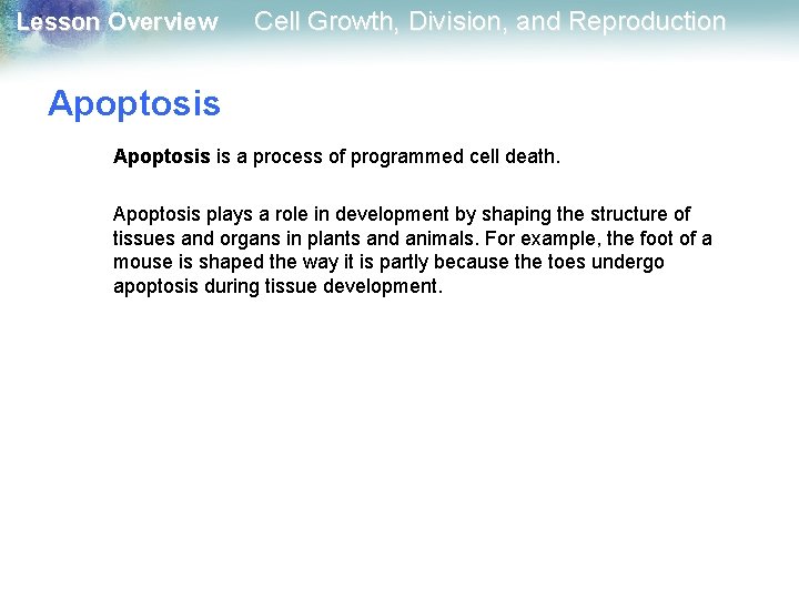 Lesson Overview Cell Growth, Division, and Reproduction Apoptosis is a process of programmed cell