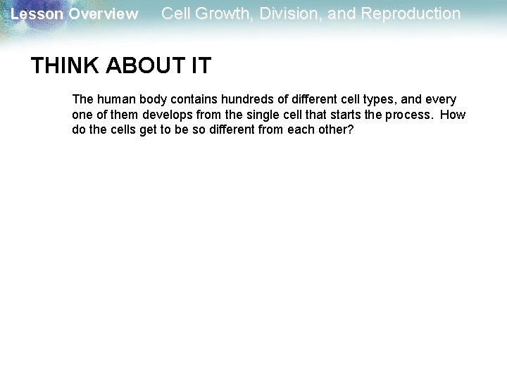 Lesson Overview Cell Growth, Division, and Reproduction THINK ABOUT IT The human body contains